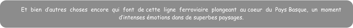 Et  bien  dautres  choses  encore  qui  font  de cette  ligne  ferroviaire  plongeant  au coeur  du  Pays Basque,  un  moment dintenses motions dans de superbes paysages.